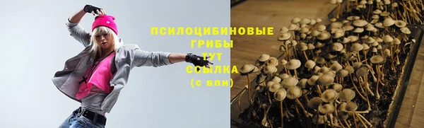 мяу мяу мука Гусиноозёрск