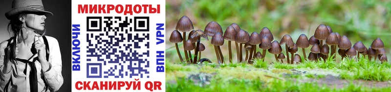 Псилоцибиновые грибы мицелий  Купить закладки  Ливны 